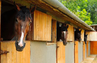 free Lower Binton stable construction quotes
